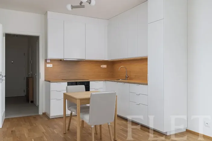 Pronájem bytu 1+kk, Praha - Karlín, Švarcova, 36 m2