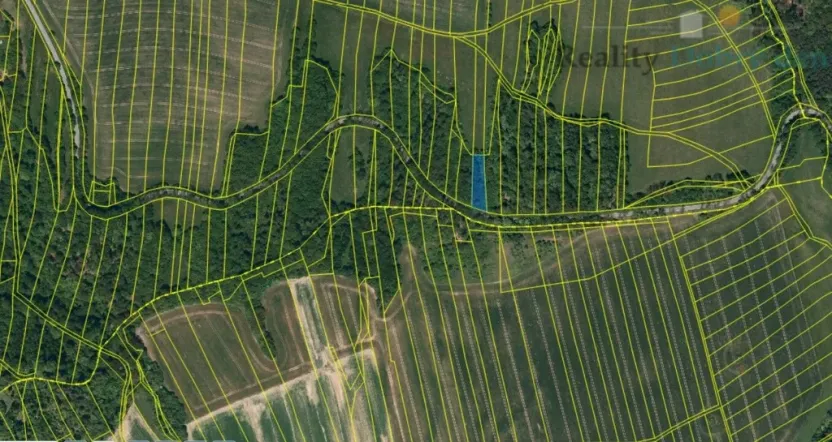 Prodej lesa, Hradec nad Moravicí, 9624 m2