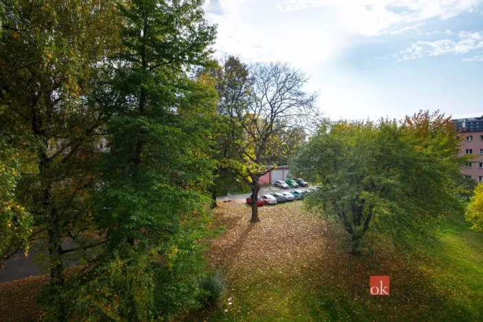 Prodej bytu 3+1, Ostrava - Hrabůvka, Provaznická, 61 m2