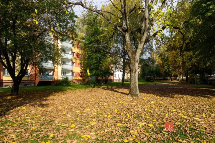 Prodej bytu 3+1, Ostrava - Hrabůvka, Provaznická, 61 m2