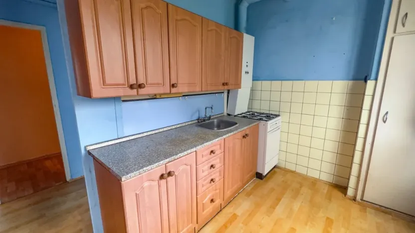 Prodej bytu 2+1, Plzeň - Lobzy, Blatenská, 52 m2
