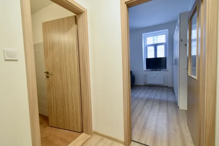 Pronájem bytu 1+kk, Brno - Zábrdovice, Vlhká, 27 m2
