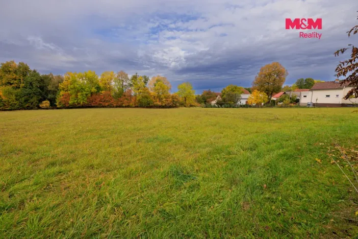 Prodej louky, Lužany - Zelené, 5700 m2