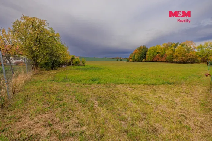 Prodej louky, Lužany - Zelené, 5700 m2
