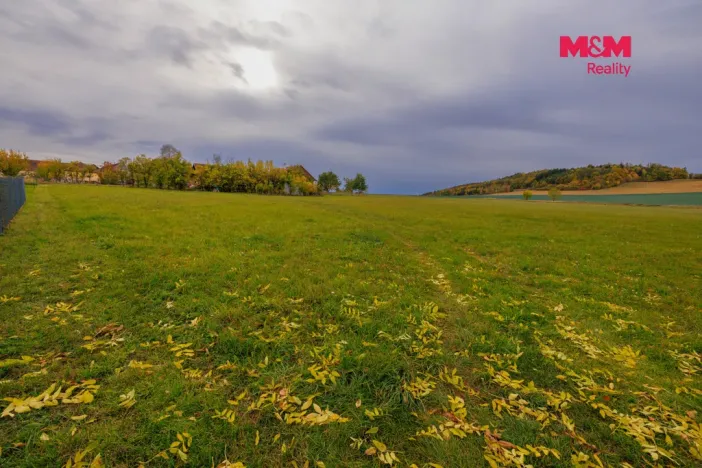 Prodej louky, Lužany - Zelené, 5700 m2