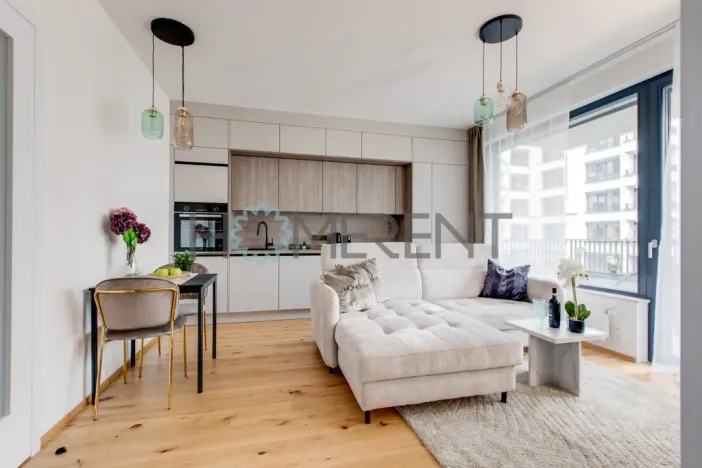 Pronájem bytu 2+kk, Praha - Nusle, Závišova, 45 m2