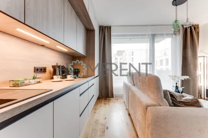Pronájem bytu 2+kk, Praha - Nusle, Závišova, 45 m2