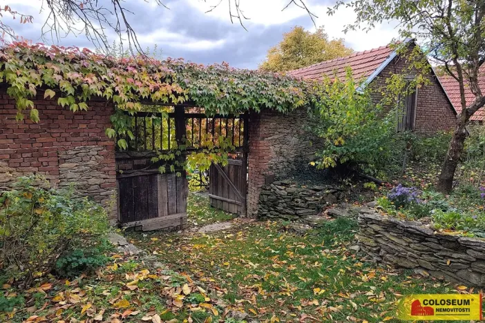 Prodej rodinného domu, Dzbel, 360 m2