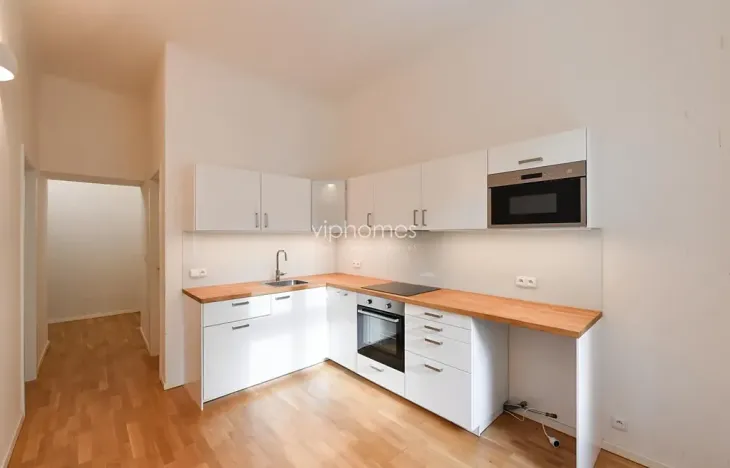 Pronájem bytu 1+kk, Praha - Josefov, Maiselova, 53 m2