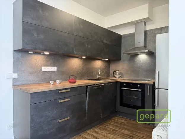 Pronájem bytu 1+1, Olomouc, Edmunda Husserla, 41 m2