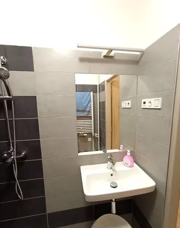 Pronájem bytu 3+1, Dolní Loučky, 87 m2
