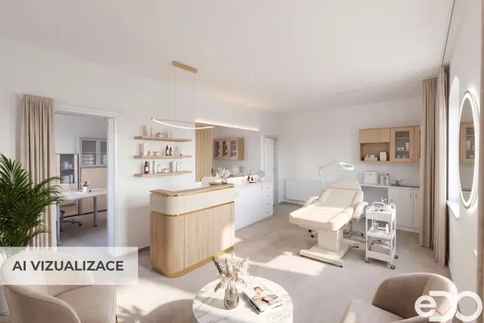 Prodej rodinného domu, Velké Přílepy, Emy Destinnové, 240 m2