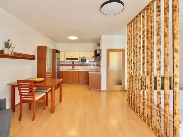 Pronájem bytu 1+kk, Brno, Bělohorská, 41 m2