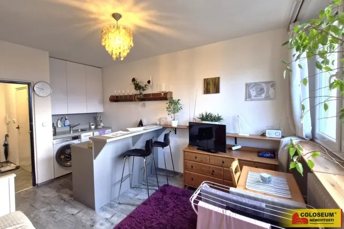 Prodej bytu 1+kk, Brno - Lesná, 23 m2