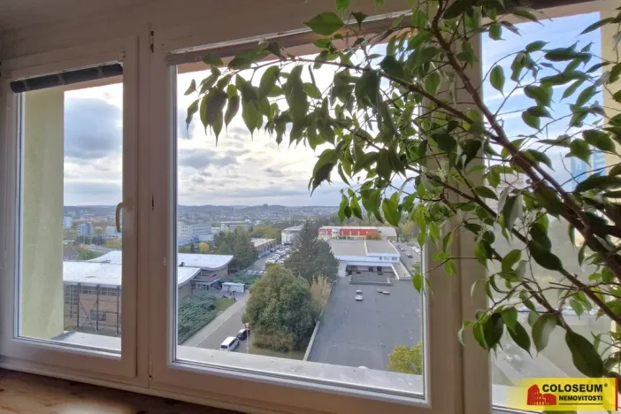 Prodej bytu 1+kk, Brno - Lesná, 23 m2