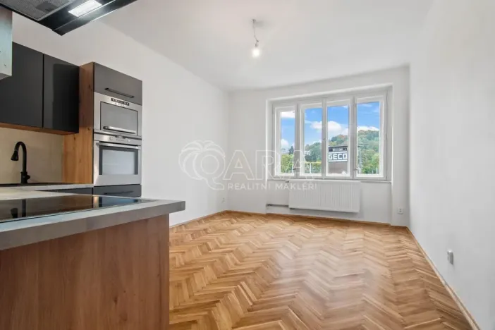 Pronájem bytu 2+kk, Praha - Nusle, Ctiradova, 48 m2