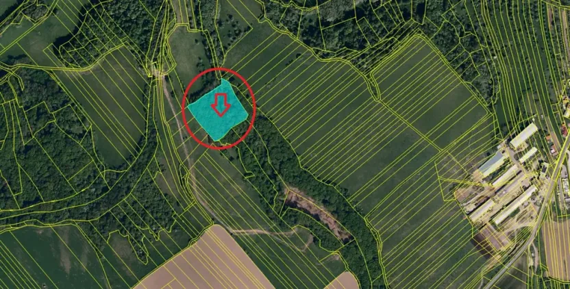 Prodej podílu lesa, Velký Ořechov, 2457 m2