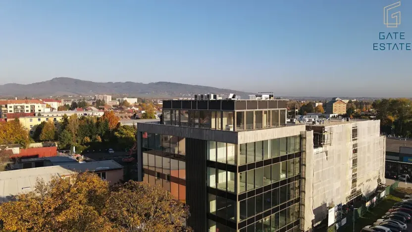 Pronájem lesa, 125 m², Tovární, Holešov