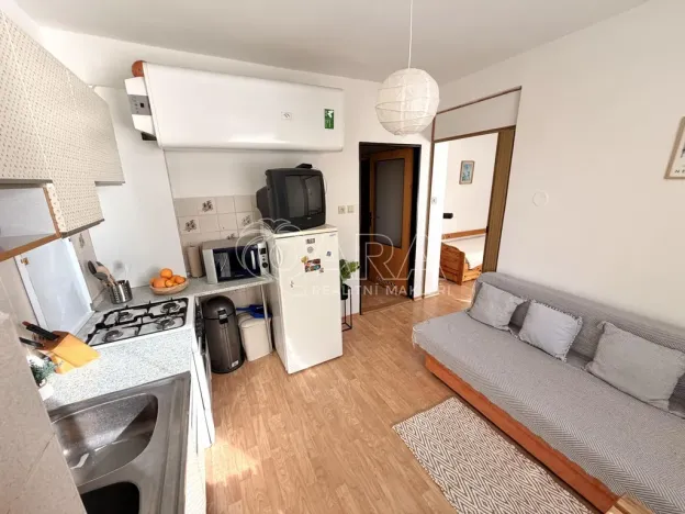 Prodej bytu 1+1, Plzeň - Lobzy, Nad Úslavou, 35 m2