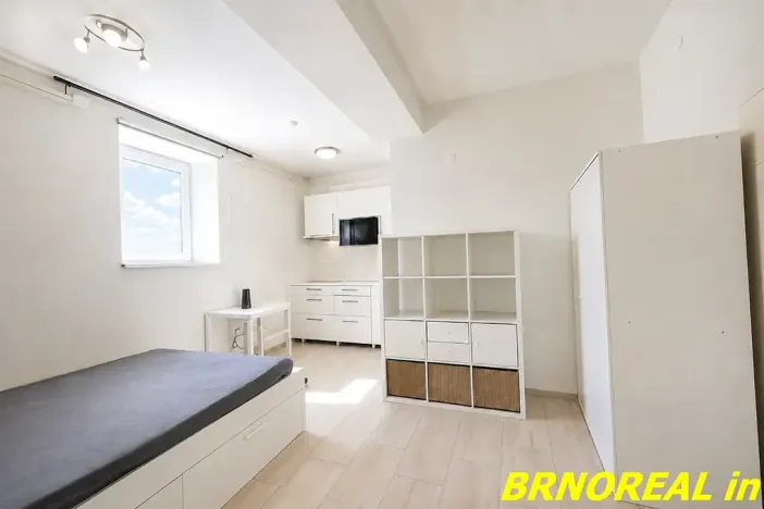 Pronájem bytu 1+kk, Brno, Vodní, 20 m2