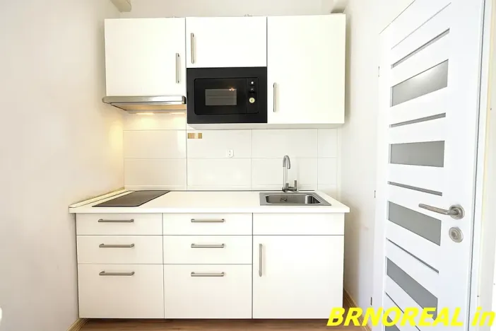 Pronájem bytu 1+kk, Brno, Vodní, 20 m2