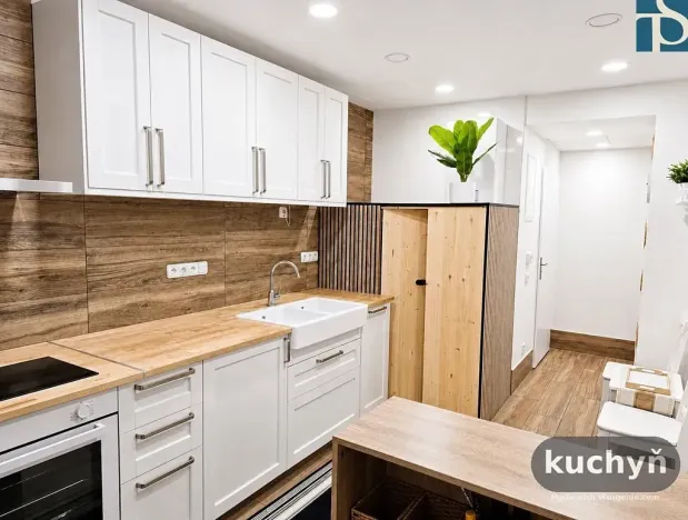 Prodej bytu 1+1, Praha - Vinohrady, Na Kozačce, 48 m2