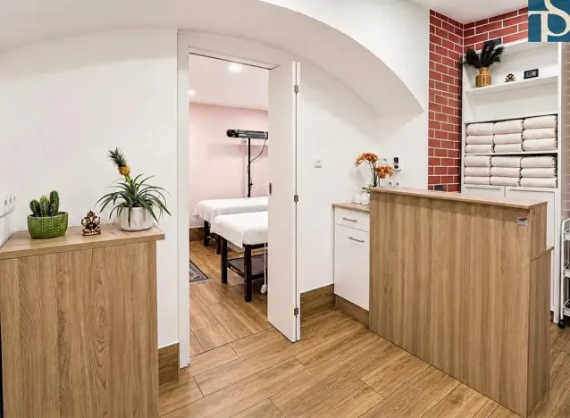 Prodej bytu 1+1, Praha - Vinohrady, Na Kozačce, 48 m2