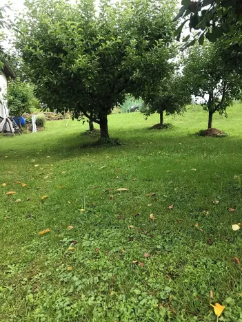Prodej pozemku pro bydlení, Most, 230 m2