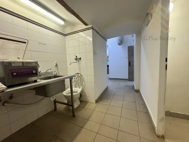 Pronájem restaurace, Žižice - Luníkov, 250 m2