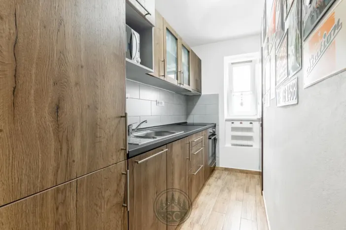 Prodej bytu 3+kk, Březová, Okružní, 56 m2