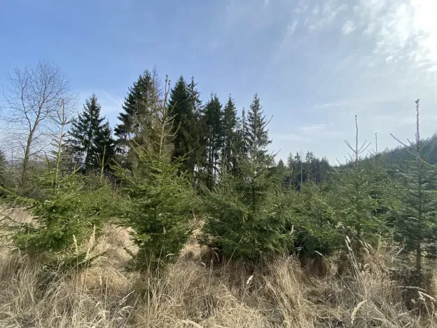 Prodej pozemku, 1410 m², Městečko Trnávka, Lázy