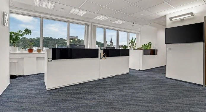 Pronájem kanceláře, Praha - Karlín, Sokolovská, 342 m2