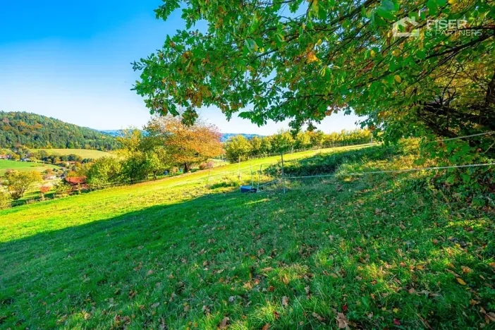 Prodej pozemku pro bydlení, Mikulůvka, 3000 m2