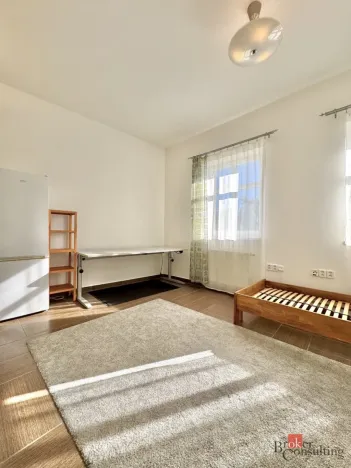 Pronájem bytu 1+kk, Plzeň - Severní Předměstí, Luční, 27 m2