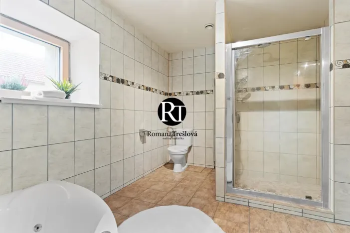 Prodej rodinného domu, Olešná, 224 m2
