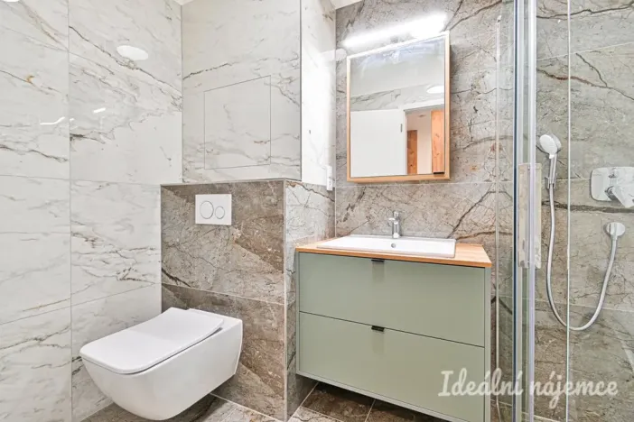Pronájem bytu 1+kk, Brno - Židenice, Škrochova, 33 m2