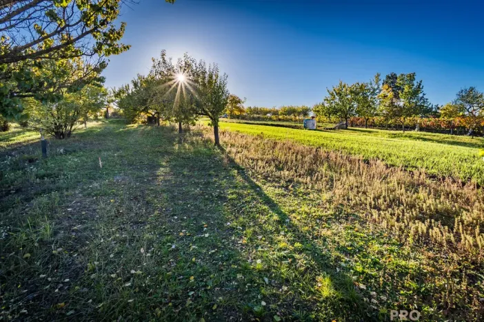 Prodej pozemku pro bydlení, Šardice, 940 m2