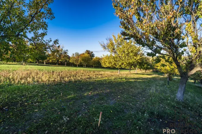 Prodej pozemku pro bydlení, Šardice, 940 m2