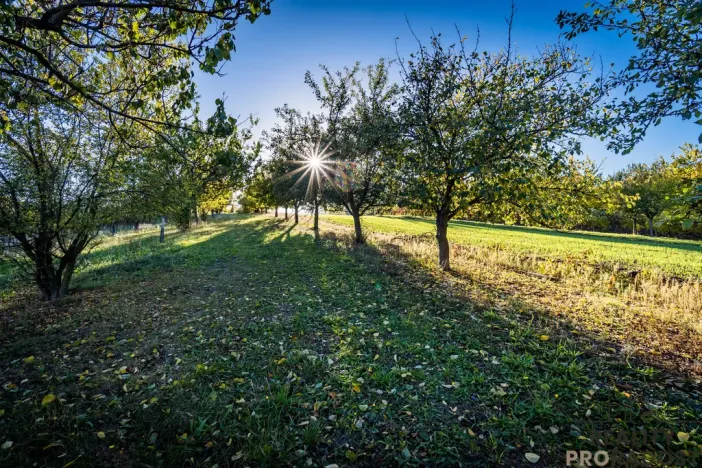 Prodej pozemku pro bydlení, Šardice, 940 m2