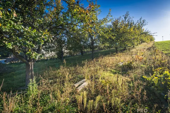 Prodej pozemku pro bydlení, Šardice, 940 m2