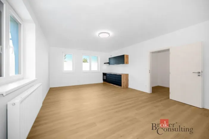 Prodej bytu 1+kk, Břasy, 42 m2