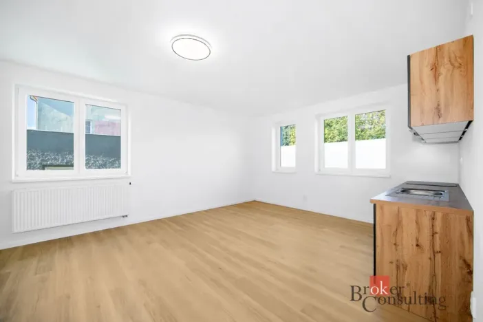Prodej bytu 1+kk, Břasy, 42 m2
