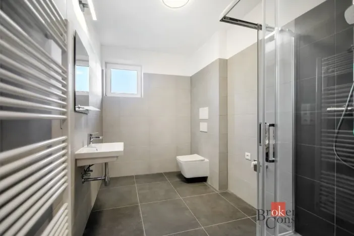 Prodej bytu 1+kk, Břasy, 42 m2
