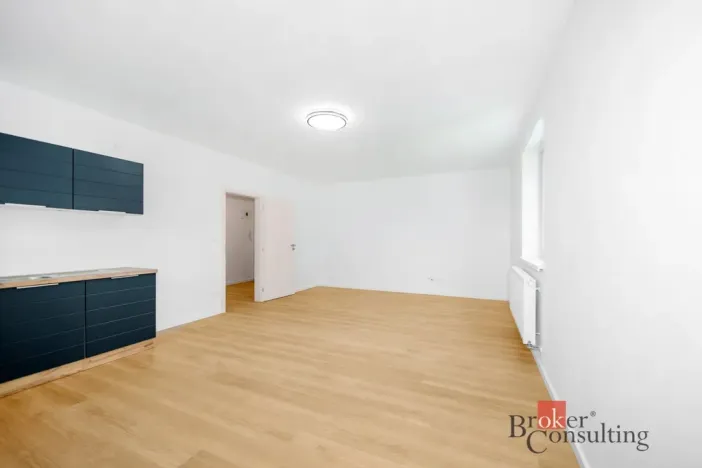 Prodej bytu 1+kk, Břasy, 42 m2