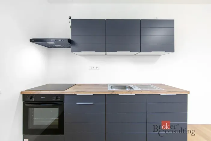 Prodej bytu 1+kk, Břasy, 42 m2