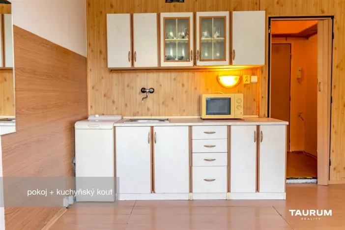 Prodej bytu 1+kk, Plzeň - Doudlevce, Luďka Pika, 20 m2