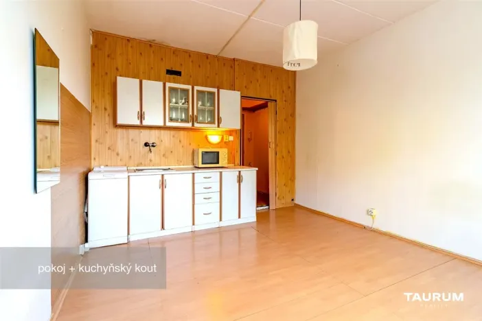 Prodej bytu 1+kk, Plzeň - Doudlevce, Luďka Pika, 20 m2