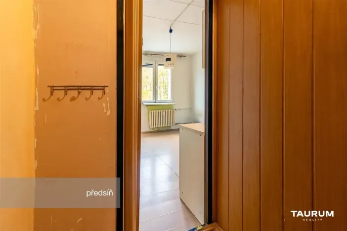 Prodej bytu 1+kk, Plzeň - Doudlevce, Luďka Pika, 20 m2