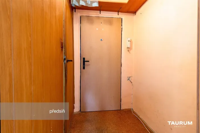 Prodej bytu 1+kk, Plzeň - Doudlevce, Luďka Pika, 20 m2