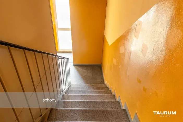 Prodej bytu 1+kk, Plzeň - Doudlevce, Luďka Pika, 20 m2